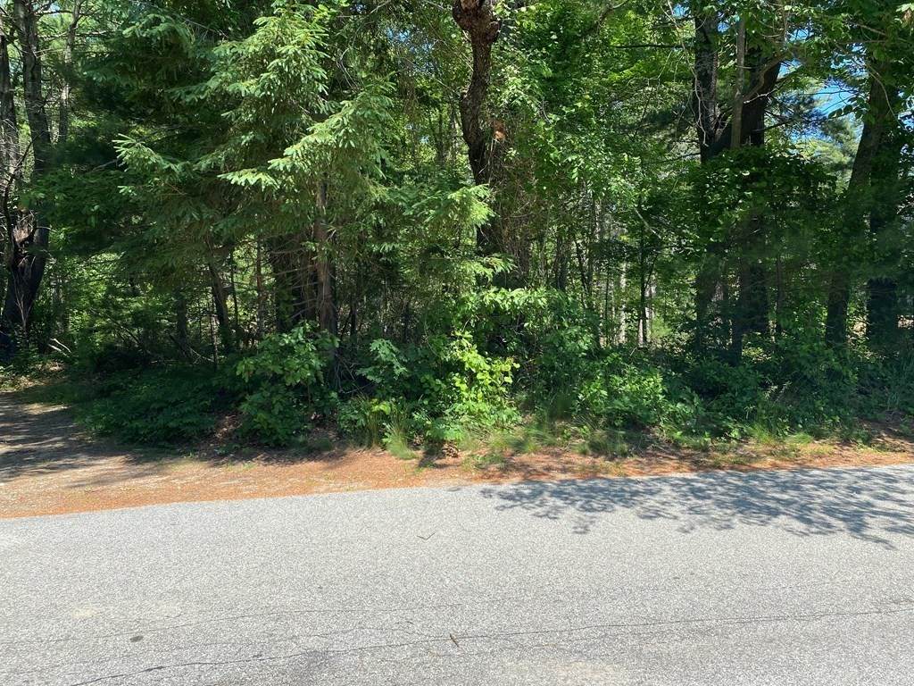Lot 1148 Beach Street - Photo 1