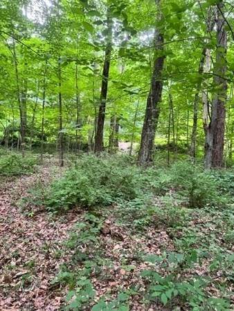 Lot 3A Wilbraham Road - Photo 1