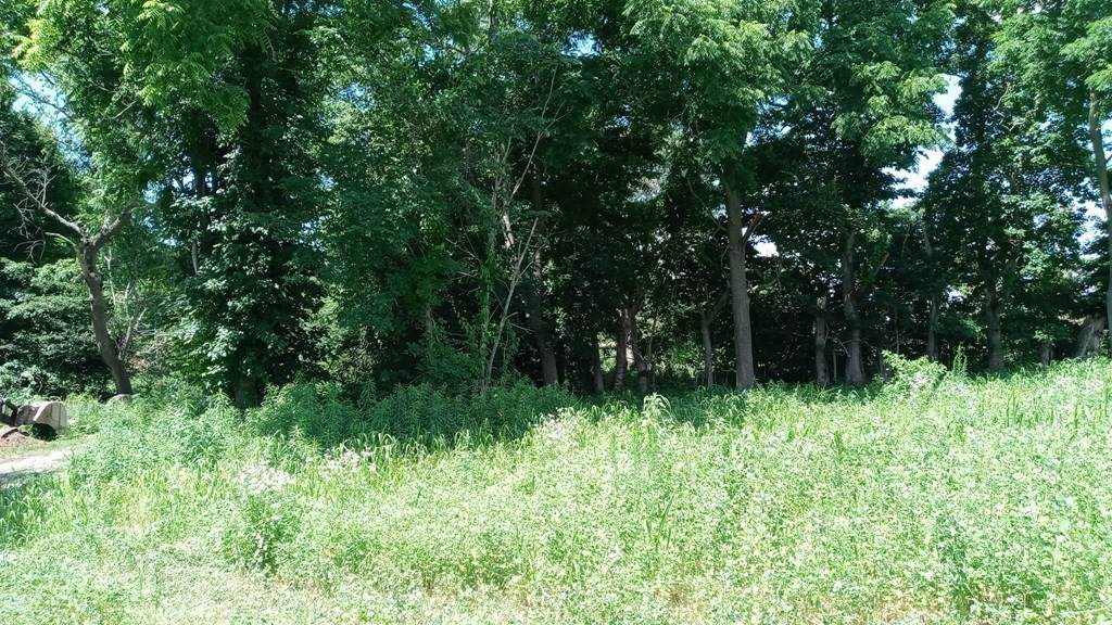 257 Pine St - Photo 1