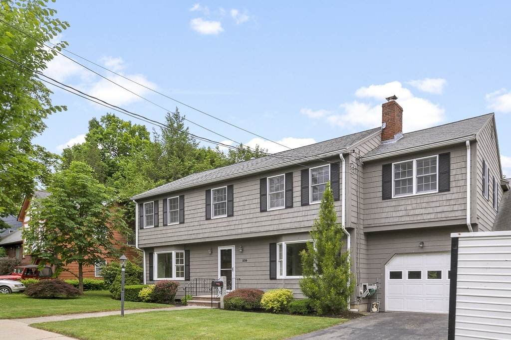 239 Waltham Street - Photo 1