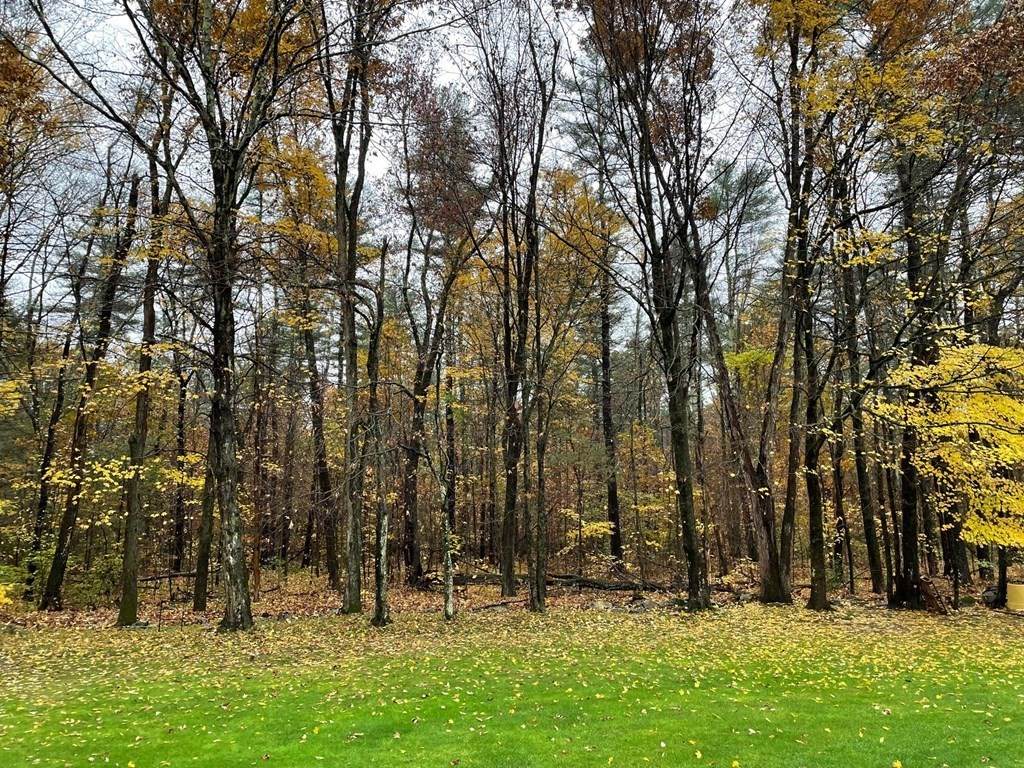 427 Belchertown Road - Photo 1