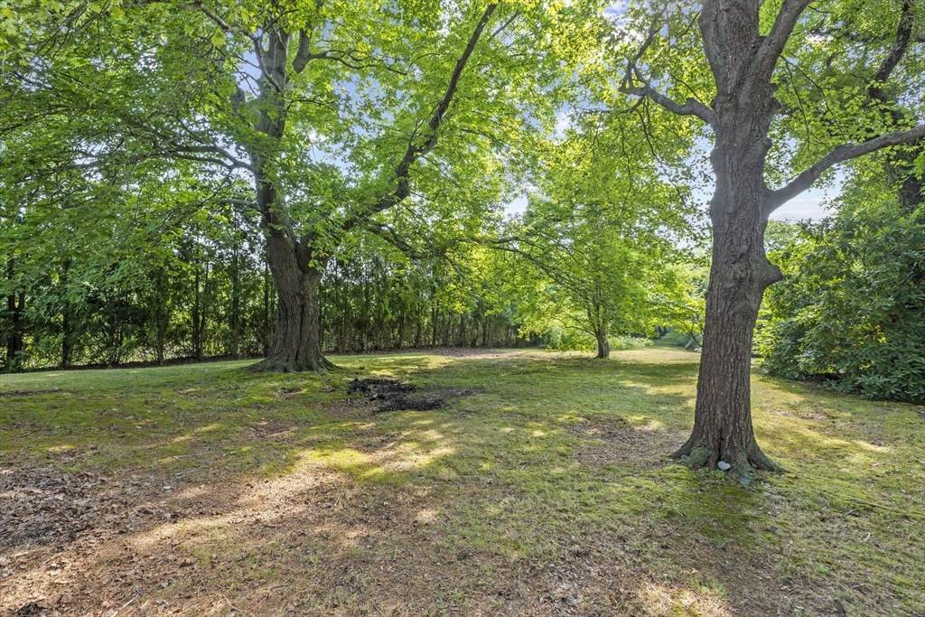 137 Hollett - Photo 1