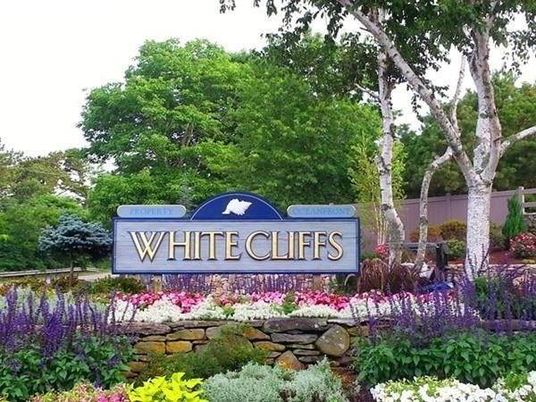 532 White Cliff Dr - Photo 1