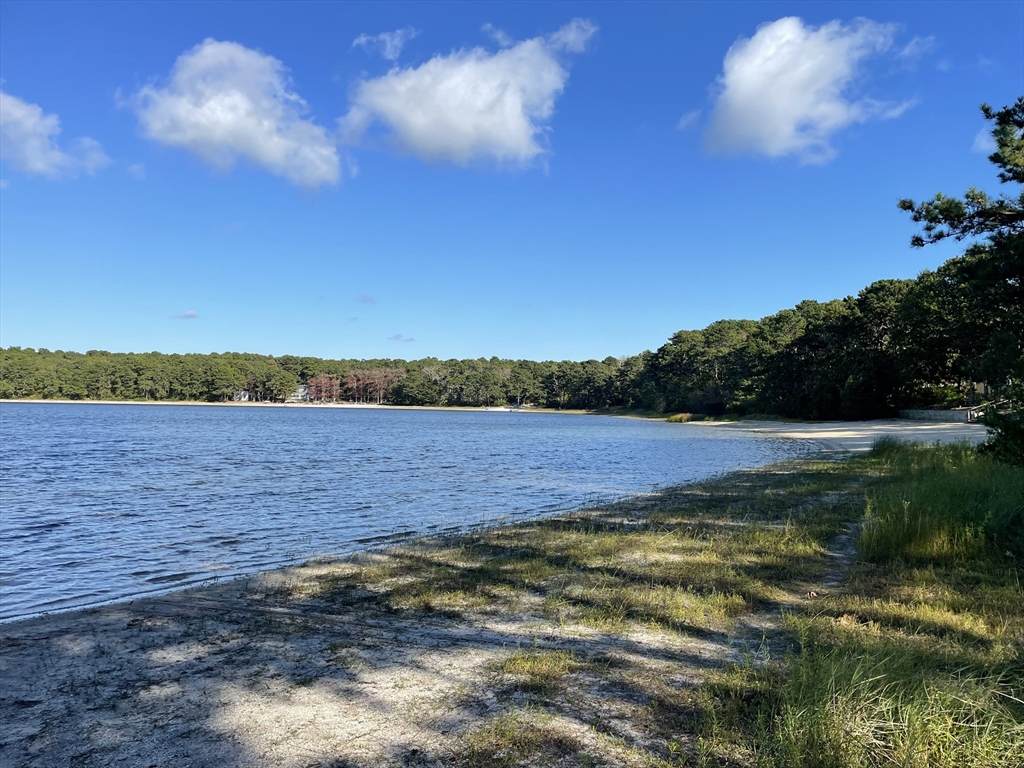 300 Buck Island - Photo 1