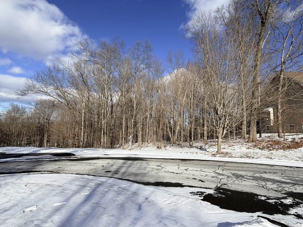 8 Patriot Ridge Lane - Photo 1