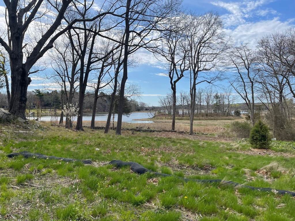 98 Black Horse Lane - Photo 1