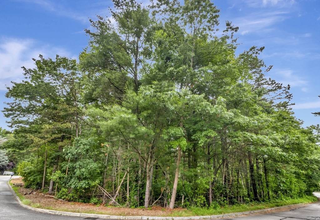 15 Randall Farm Drive - Photo 1