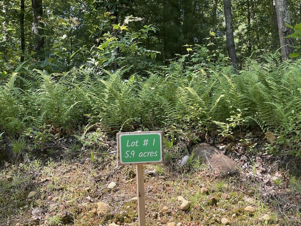 291 Warren Rd - Photo 1