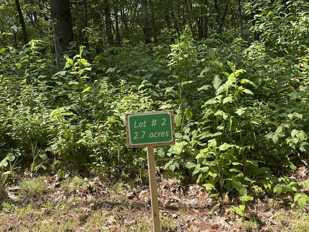 293 Warren Rd - Photo 1