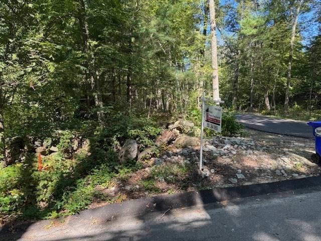 13A Asylum - Photo 1