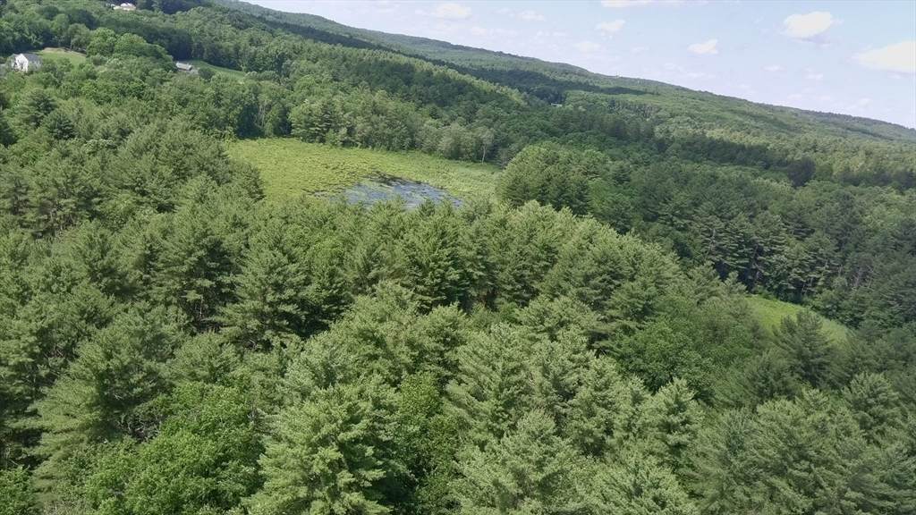 0 Blood Road - Photo 1