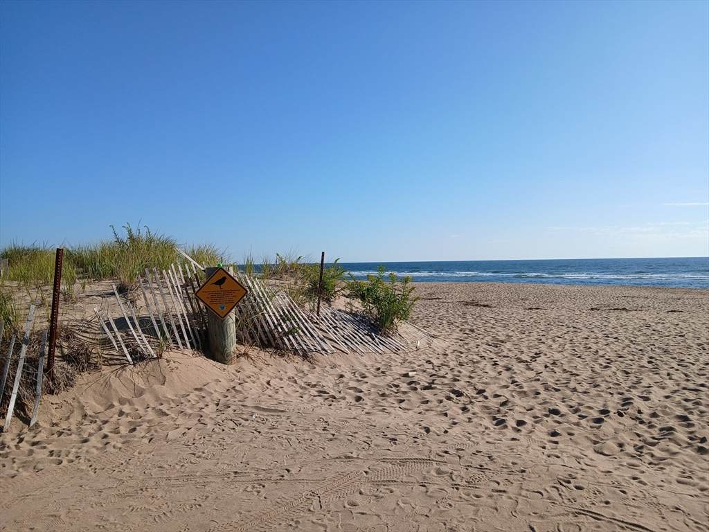 12 53rd St - Photo 1