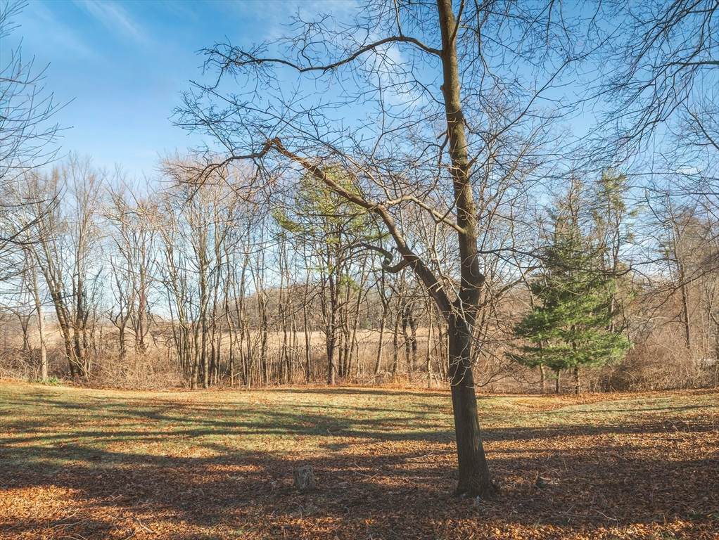 23 Jeffreys Neck Rd - Photo 1