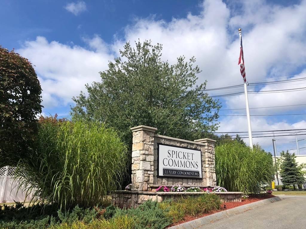 19 Hampshire Rd - Photo 1