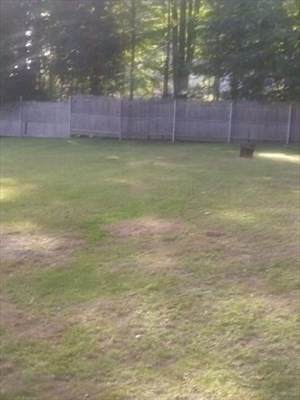 https://bt-photos.global.ssl.fastly.net/mlspin/orig_boomver_2_73437523_2.jpg