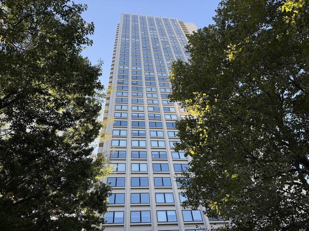 65 E India Row - Photo 1