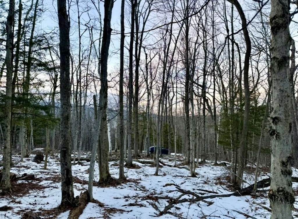 0 East Hoosac St - Photo 1