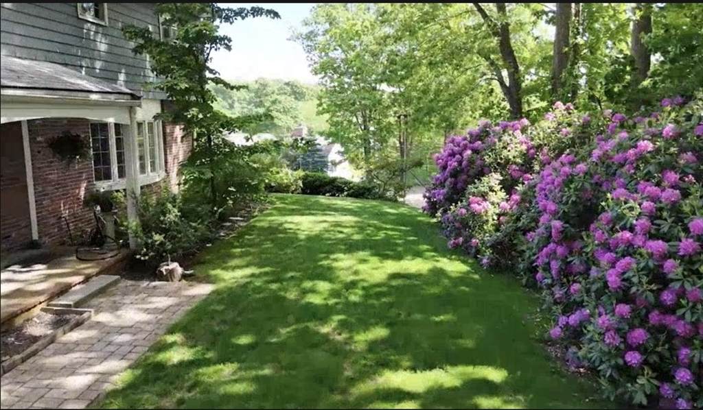 11 Pickman Rd - Photo 1