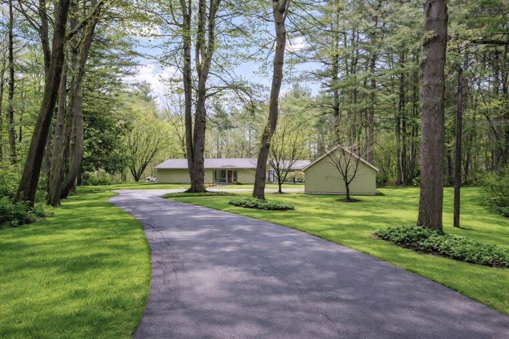 875 Old Rd To 9 Acre Cor - Photo 1