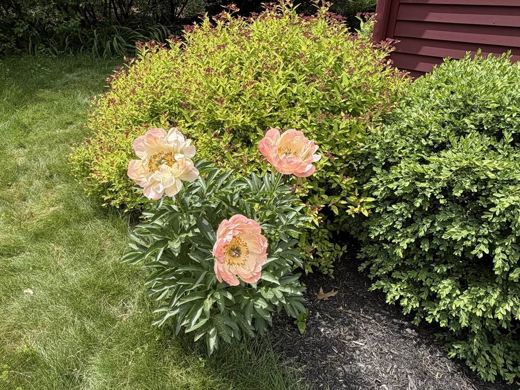 https://bt-photos.global.ssl.fastly.net/mlspin/orig_boomver_2_73503875_2.jpg