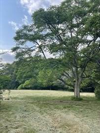 https://bt-photos.global.ssl.fastly.net/mlspin/orig_boomver_2_73510941_2.jpg