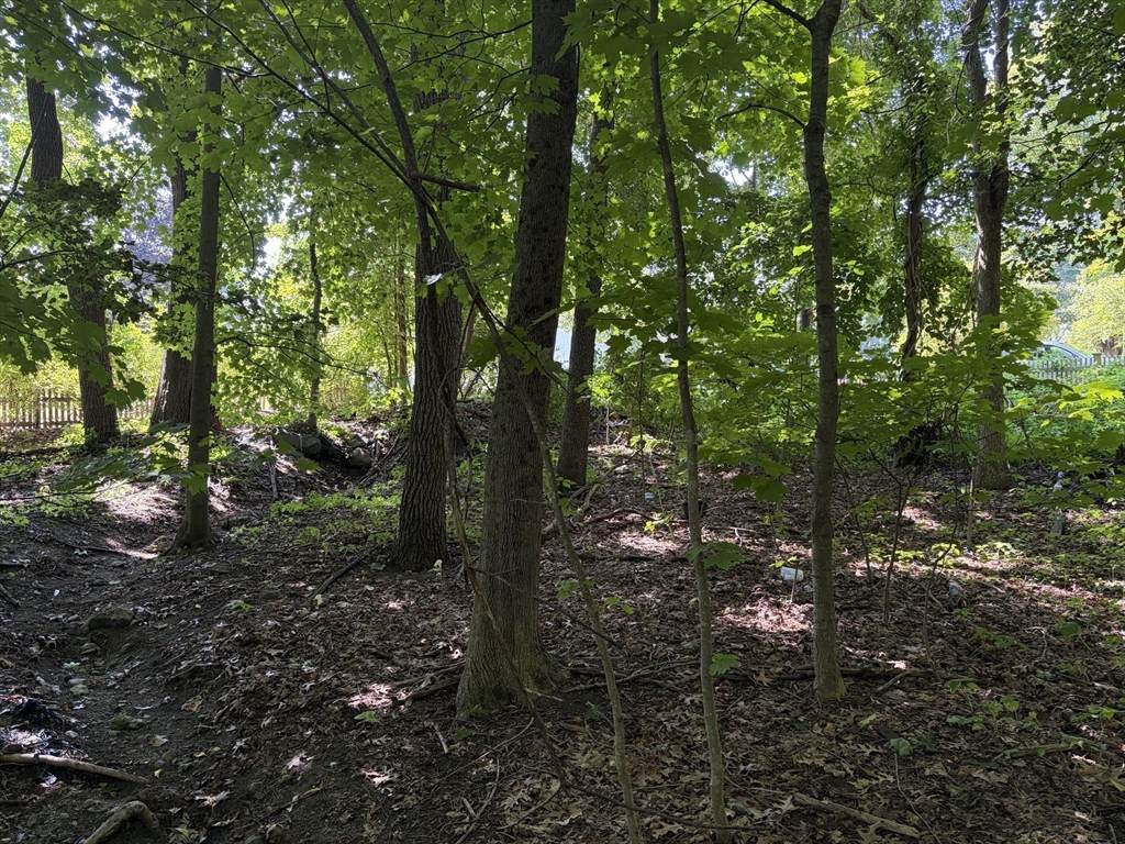 15 Myrna Rd - Photo 1