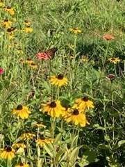https://bt-photos.global.ssl.fastly.net/mlspin/orig_boomver_1_73566327_2.jpg