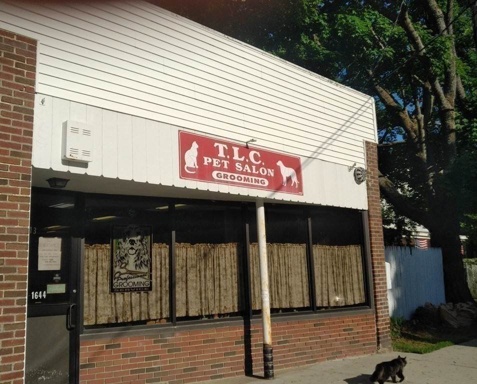 313 Pleasant St - Photo 1