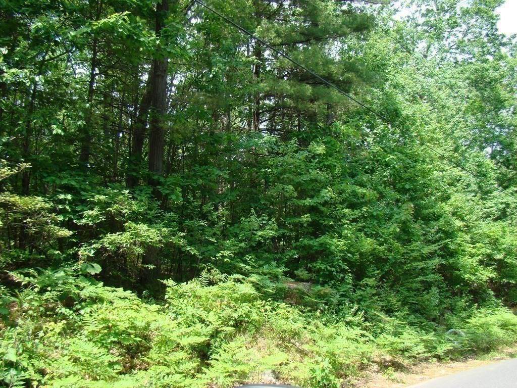 Lot 56-58 Secret Lake Rd - Photo 1