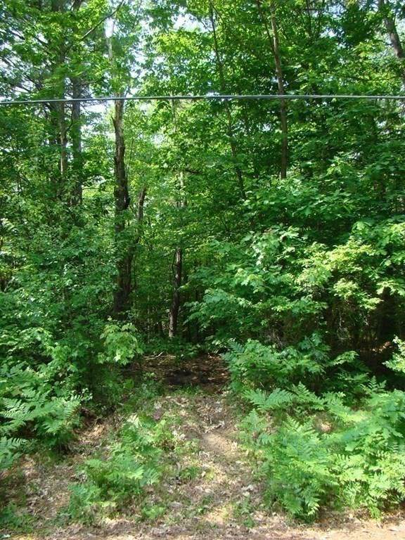 Lot 55 Secret Lake Rd - Photo 1