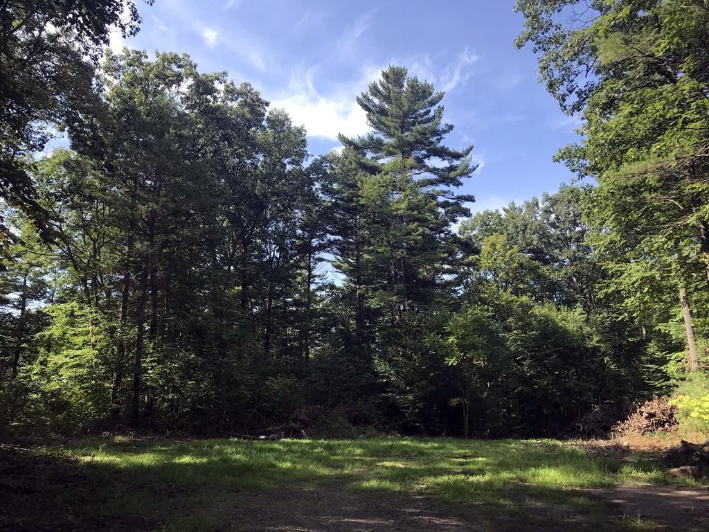 Lot 1 Pratt Corner Road - Photo 1
