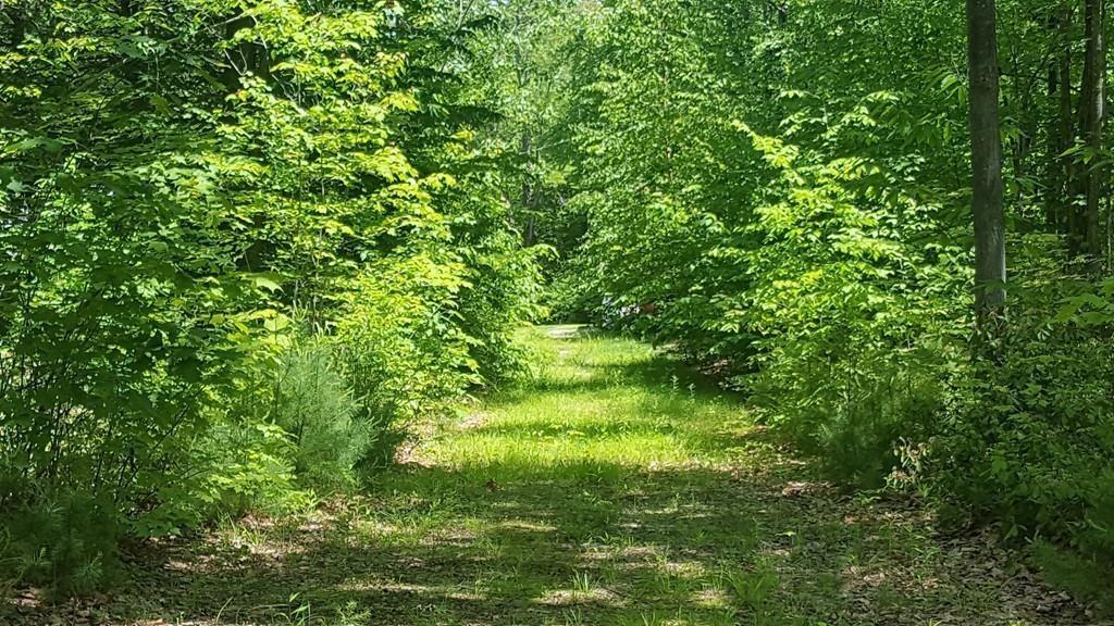 0 Bailey Rd - Photo 1