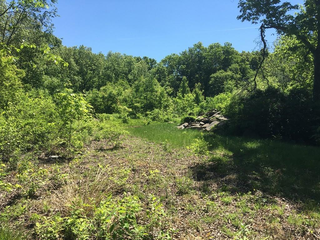 80 Snow Rd - Photo 1