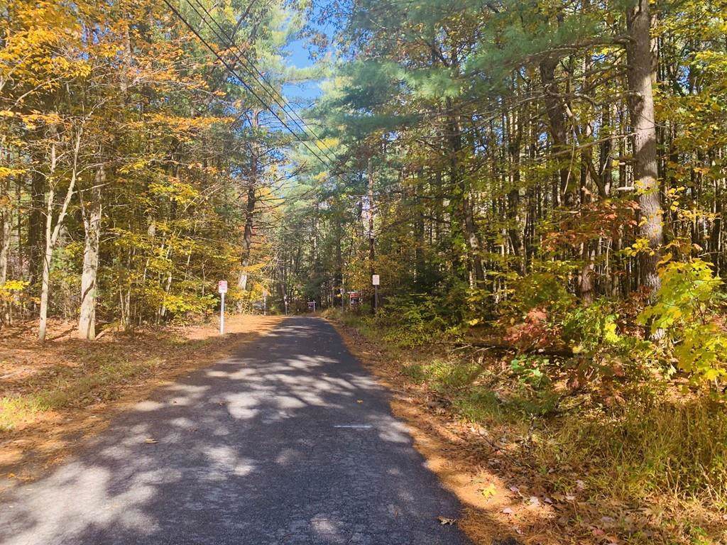 Lot 02 Lithia Springs Road - Photo 1