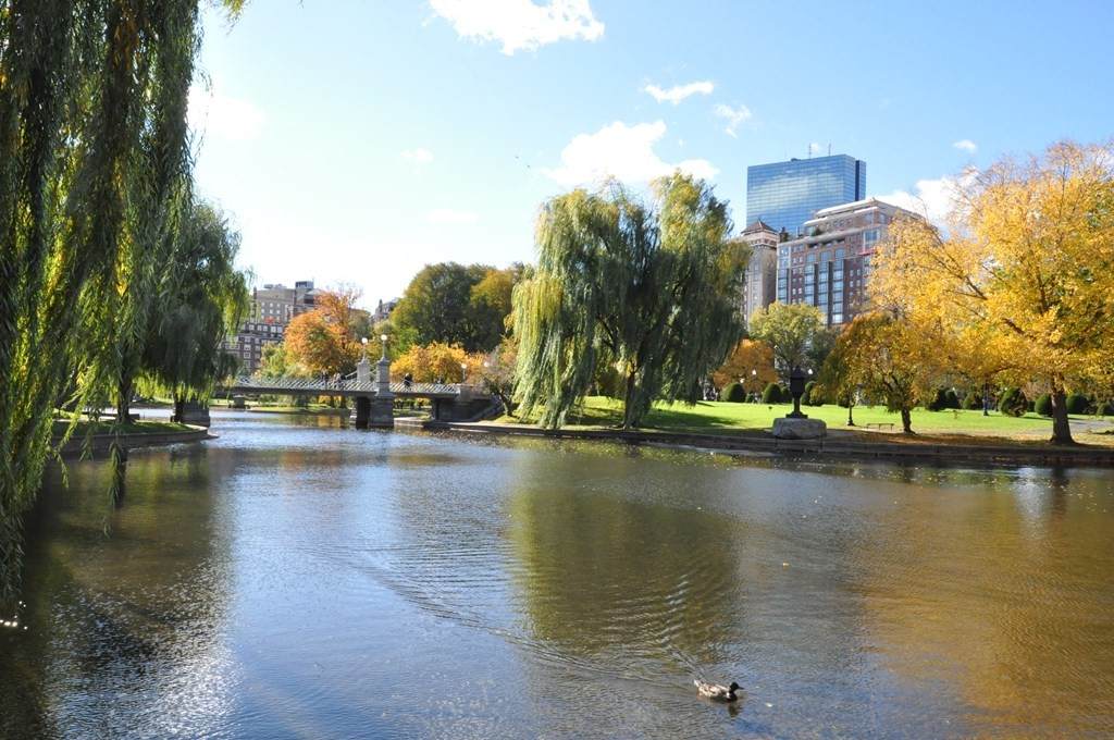 300 Boylston St - Photo 1