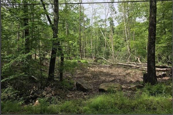 0 Bliss Hill Road - Photo 1