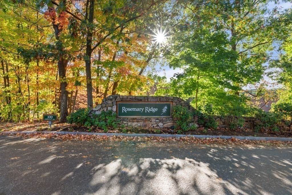 100 Rosemary Way - Photo 1