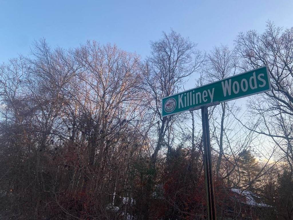 54 Killiney/156R Chestnut Hill Rd - Photo 1