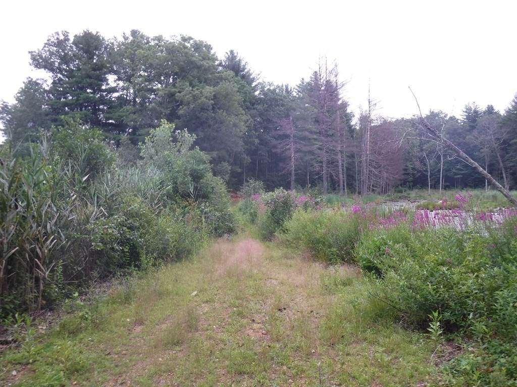 90 Town Farm Rd - Photo 1