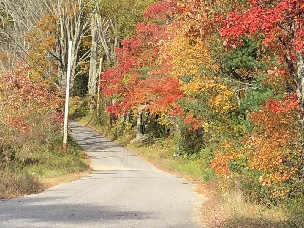 0 Jackson Rd - Photo 1