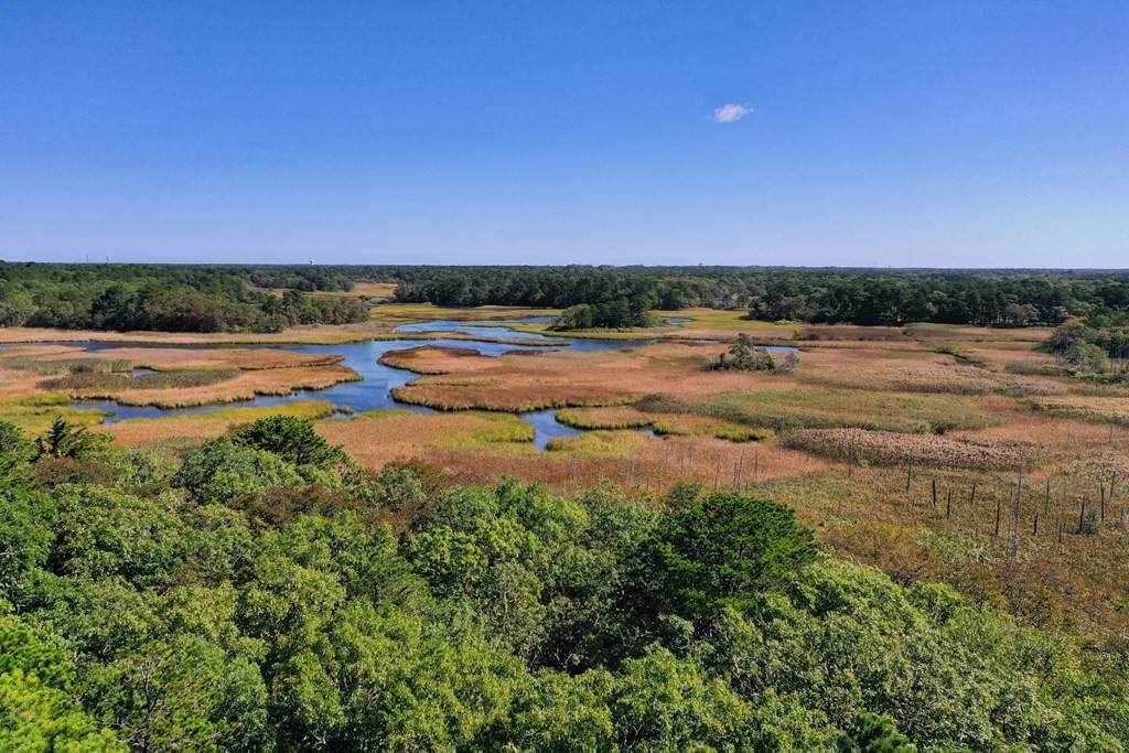 61 & 77 Bells Neck Road - Photo 1