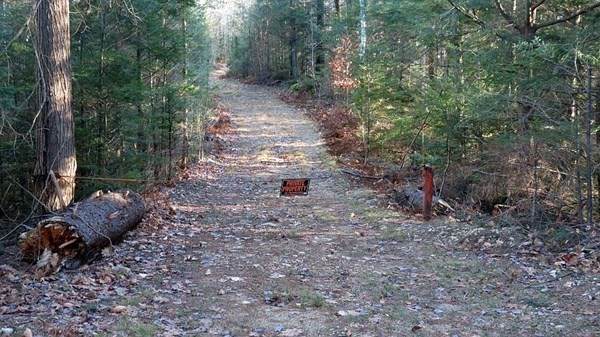 LOt 0 Bush Hill Road - Photo 1