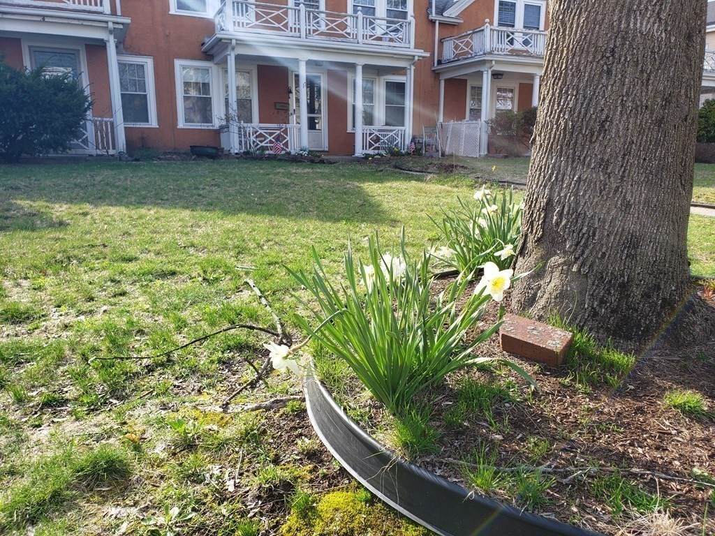 17 Maple Street - Photo 1