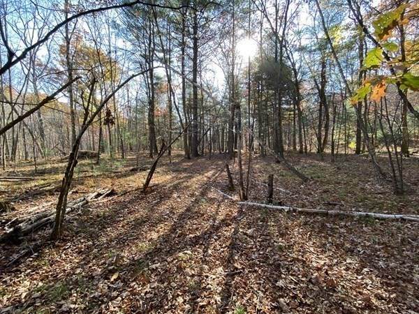 0 Hollow Road - Photo 1