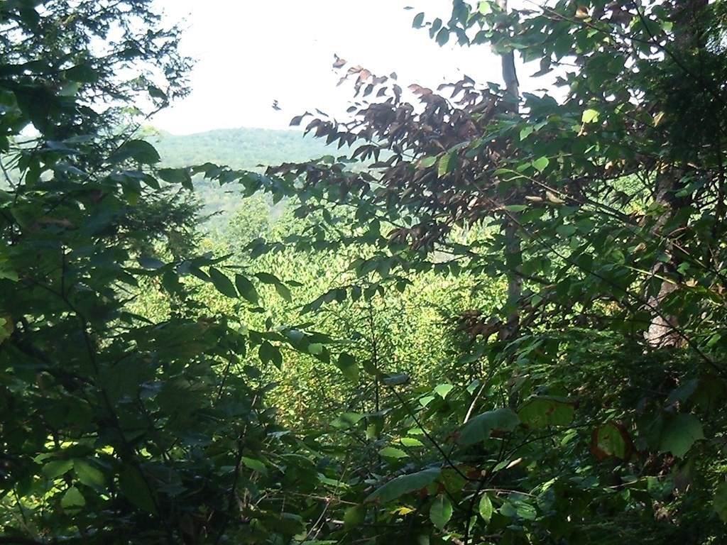 84 Briar Hill Road - Photo 1