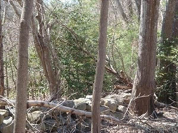 https://bt-photos.global.ssl.fastly.net/mlspin/orig_boomver_4_73308807_2.jpg