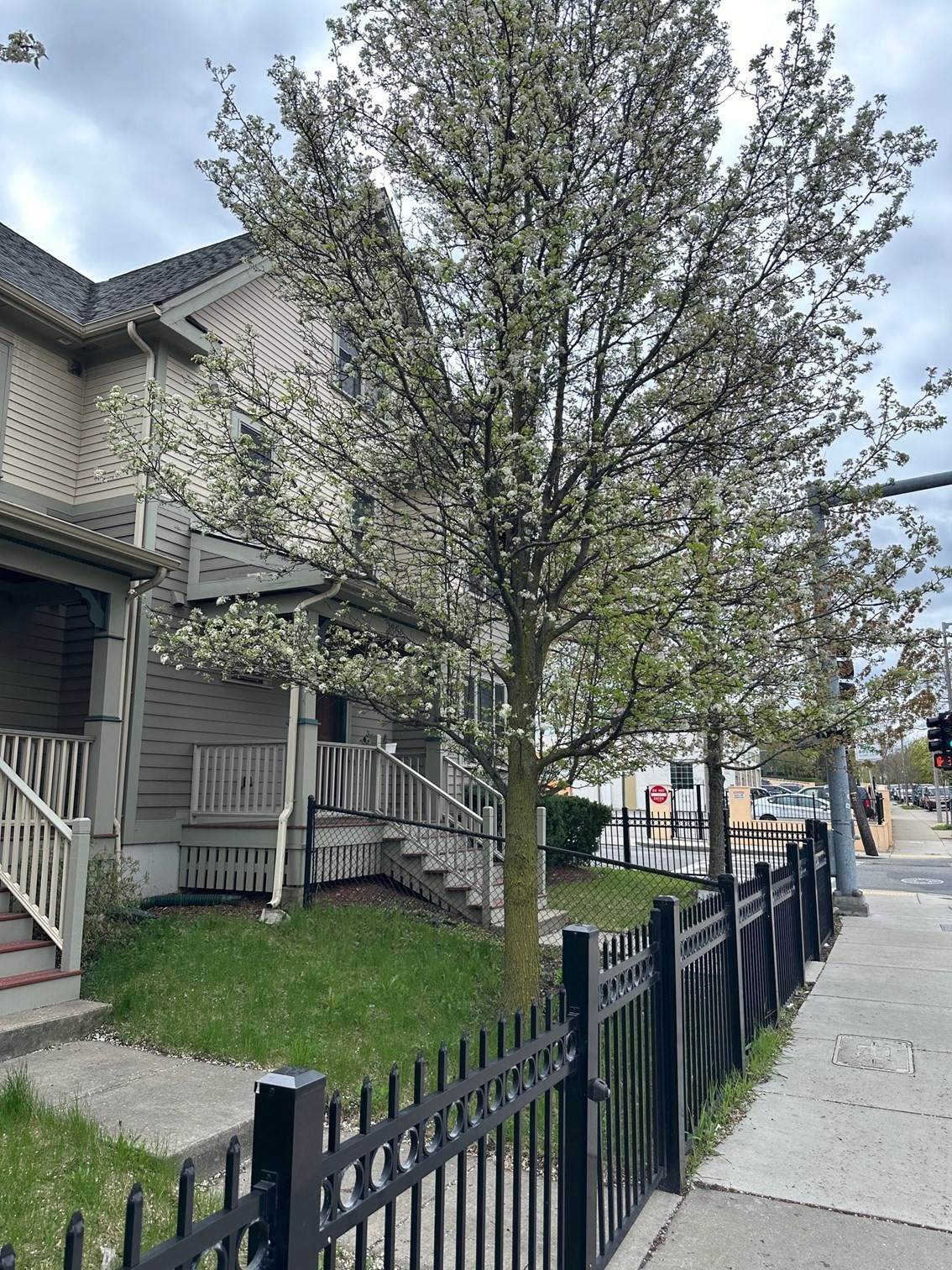2856 Washington Street - Photo 1