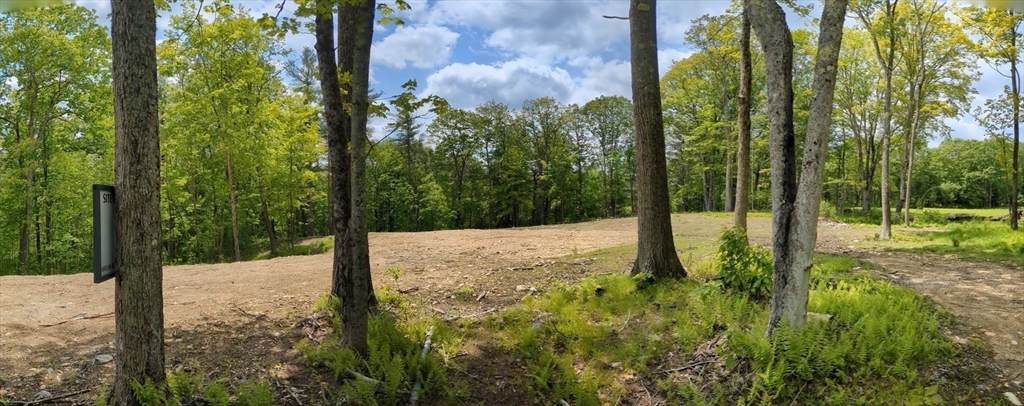 45 Old Colony Rd - Photo 1