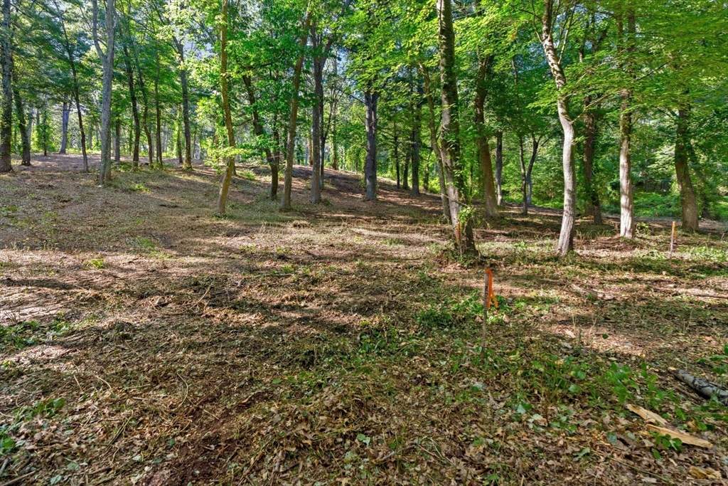 45 Pineswamp Rd - Photo 1