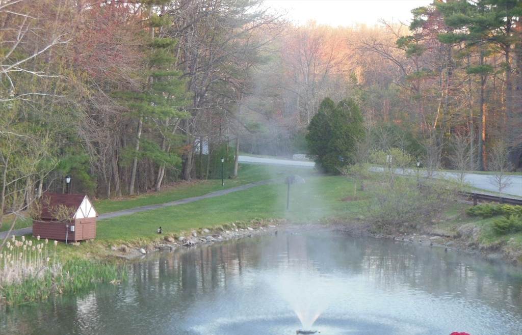 C4 Scotty Hollow Dr - Photo 1
